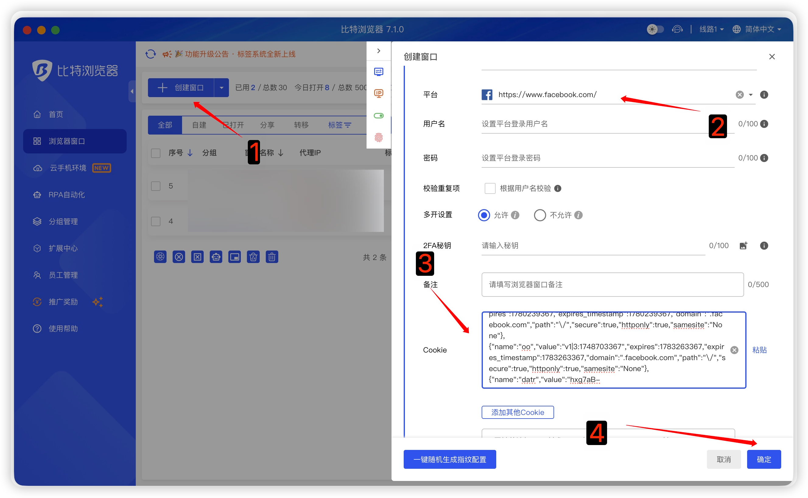 浏览器配置：新建窗口、选择 Facebook 并导入 Cookie。